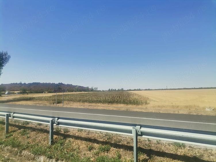 Teren de 22500 mp, în Central