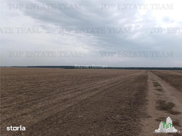 Oferim spre vanzare 6 loturi de teren extravilan (agricol) in Petrachi