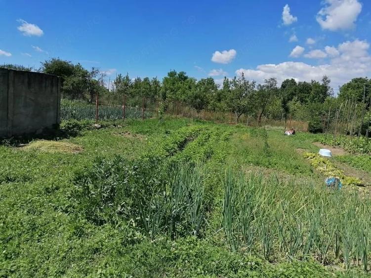 Casă cu 2 camere cu Teren 868 Mp în Arpașu de Sus