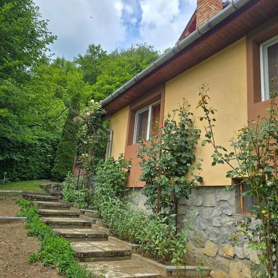 Casă individuală cu 5 camere cu Teren 935 Mp în Central