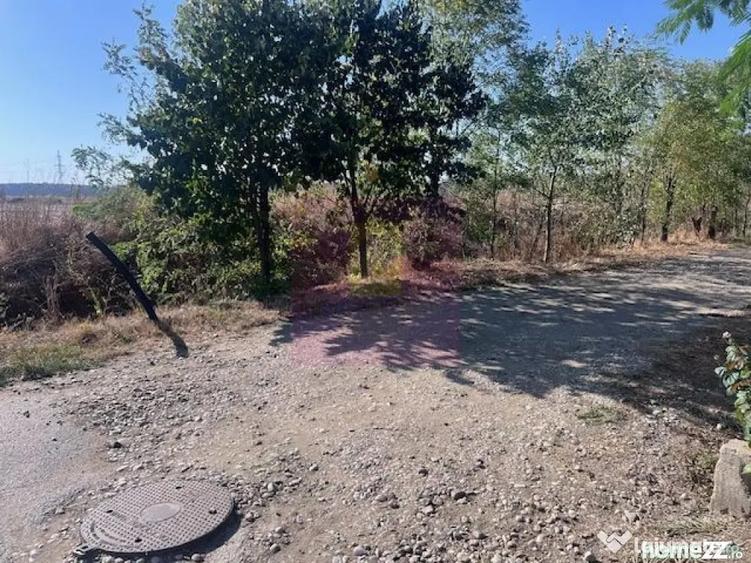 Teren de 6200 mp, în Cornetu