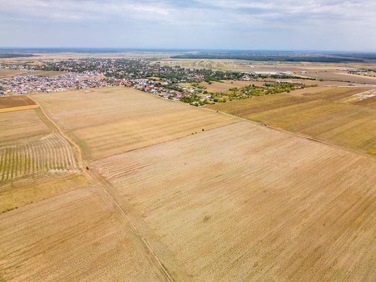 Teren Construcții intravilan de 7500 mp, în Dascălu