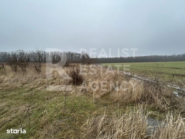 Teren de 5986 mp, în Snagov