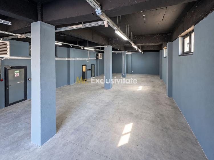 Spațiu industrial, de 306 mp, în Doamna Ghica
