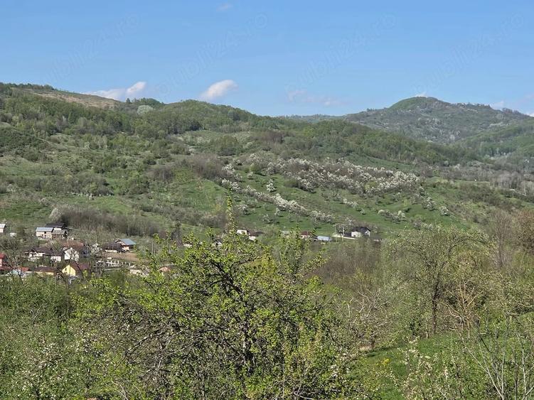 Teren de 6788 mp, în Gura Bărbulețului