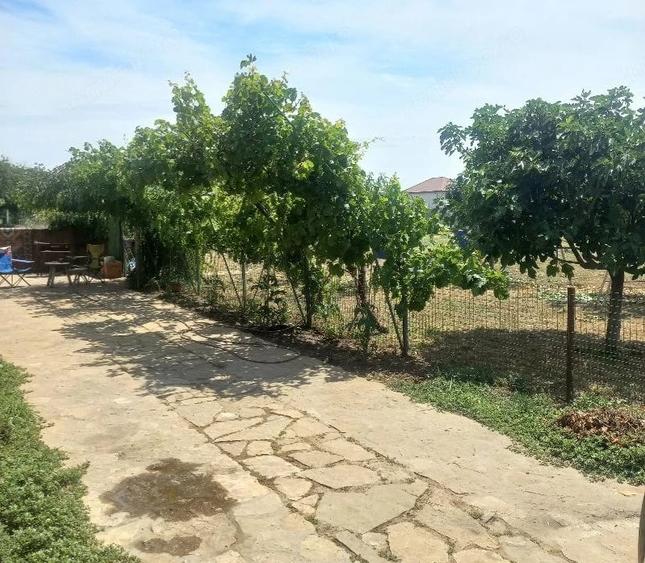Casă cu 3 camere cu Teren 2000 Mp în Mihail Kogălniceanu