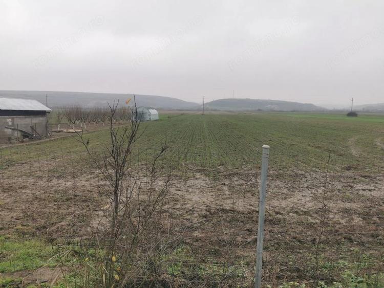 Casă cu 4 camere cu Teren 7000 Mp în Argetoaia