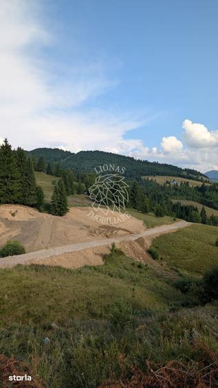 OFERTA! 11 Parcele teren intravilan-Piatra Fantanele, Castel Dracula - 4