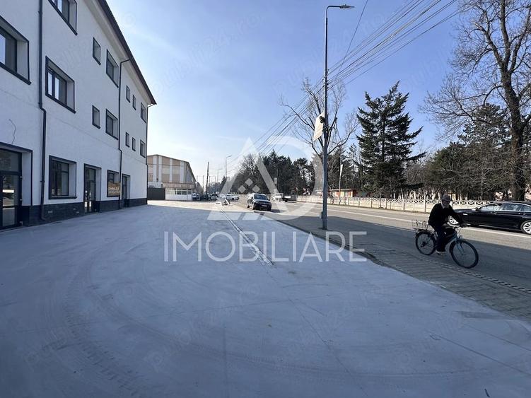 Spațiu comercial, de 320 mp, în Narciselor