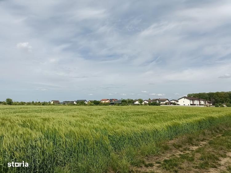 teren lotizat, Corbeanca, 8236 mp, pret minimal - 3