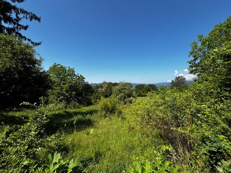 Teren extravilan de 3100 mp, în Dăești