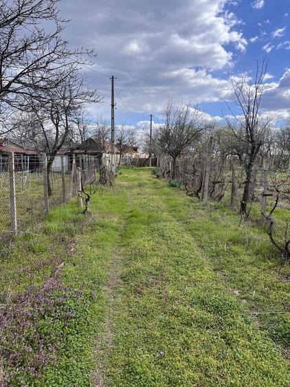 Casă cu 3 camere în Jariștea