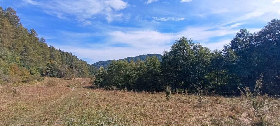 Teren Construcții intravilan de 20000 mp, în Brădet