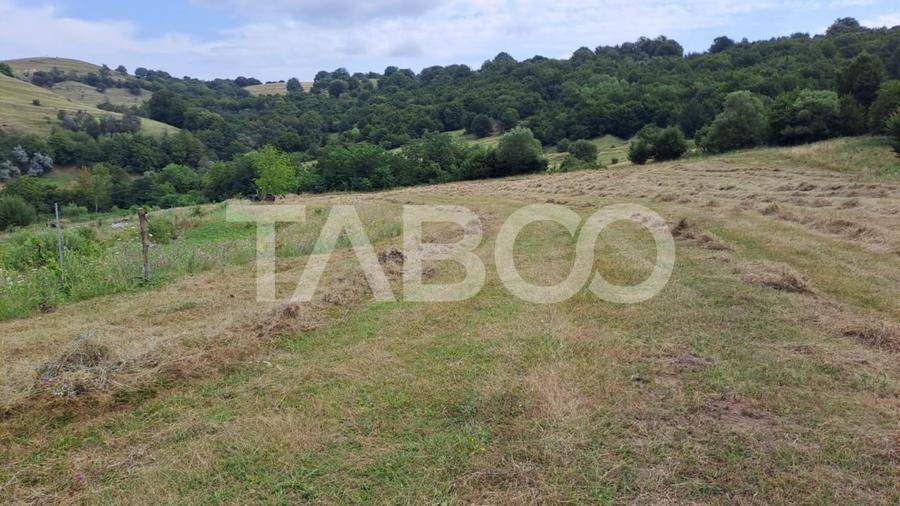 Teren agricol extravilan de 15600 mp, în Hamba