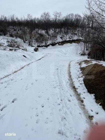 Teren de 1240 mp, în Tomești