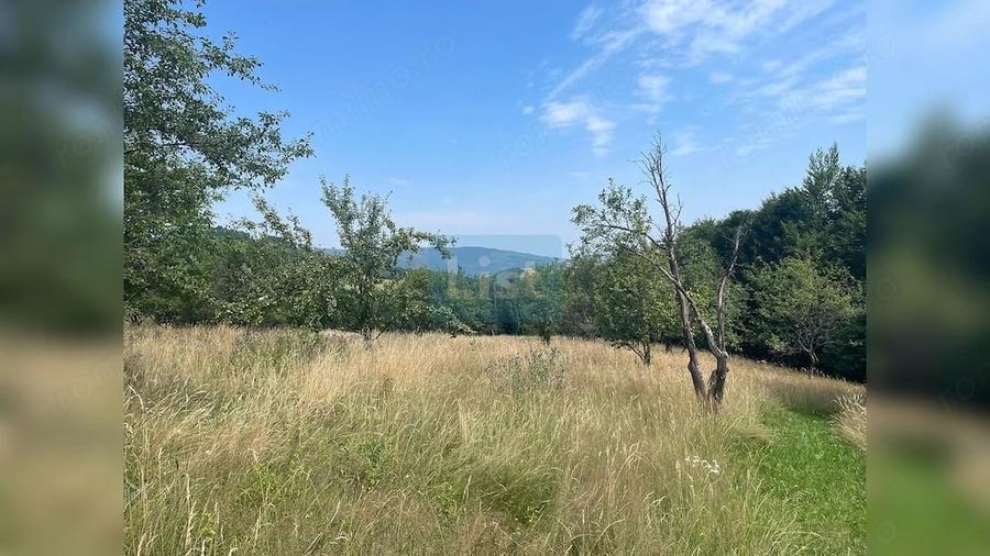 Teren de 20000 mp, în Săcuieu