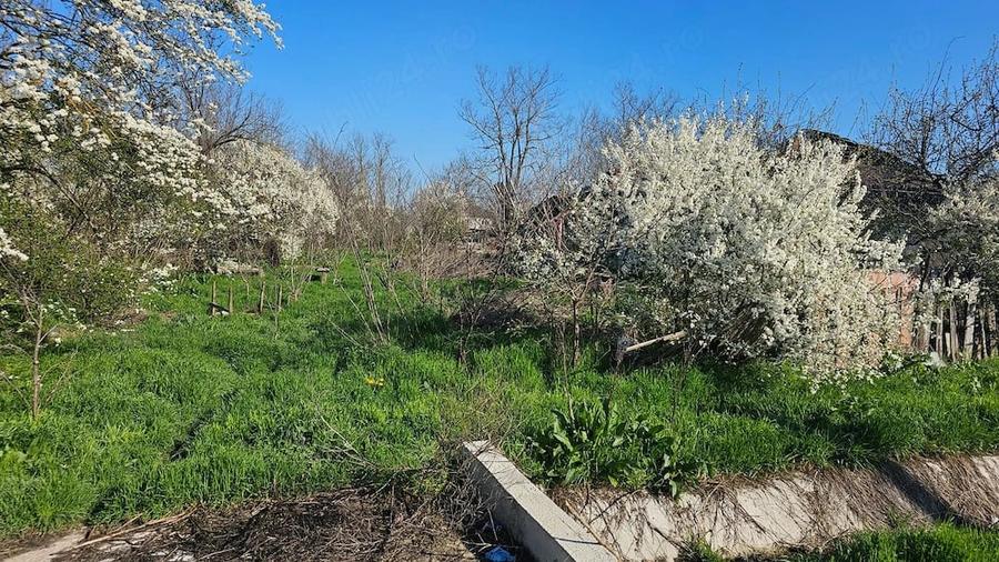 Teren de 1850 mp, în Progresu