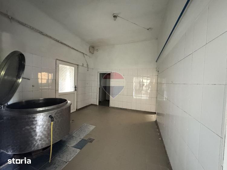 Casă cu 5 camere cu Teren 738 Mp în Alma