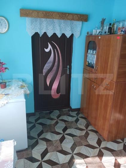Casă individuală cu 2 camere cu Teren 3800 Mp în Brad