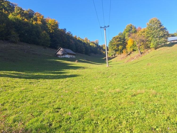 Teren de 16000 mp, în Ciocanu