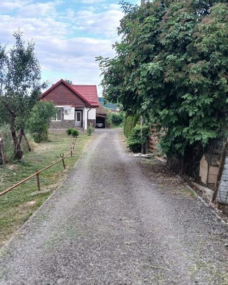 Casă cu 3 camere în Central