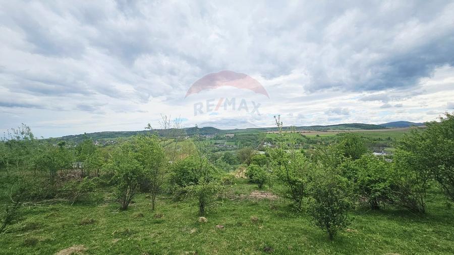 Teren Construcții intravilan de 5350 mp, în Dobreni