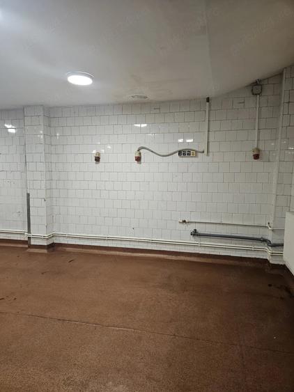 Spațiu comercial, de 500 mp, în Lizeanu