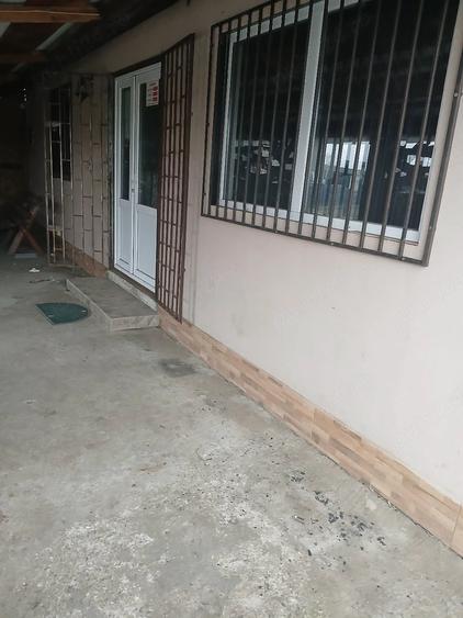 Casă cu Teren 2100 Mp în Bălaia