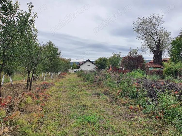 Teren de 1200 mp, în Goranu