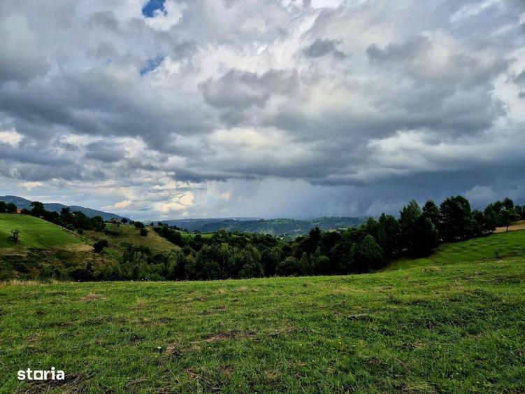 Teren Extravilan De Vanzare Pestera, Moeciu- Investitie Cu Potential - 5