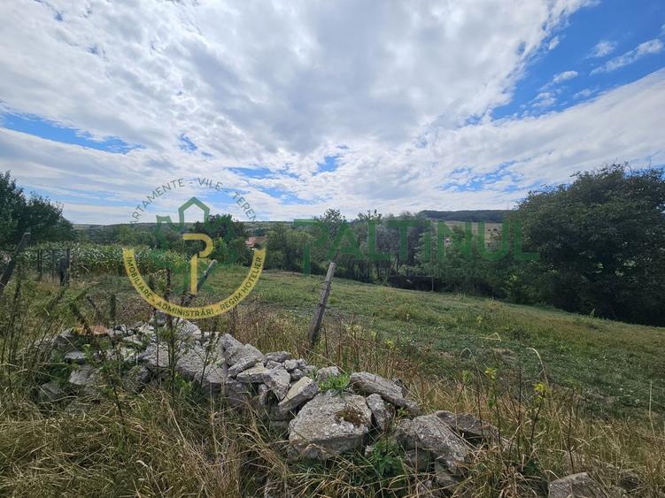 Teren agricol intravilan de 2617 mp, în Loamneș