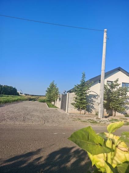 Teren de vanzare frumusani in apropiere de A0 Ilfov - 3