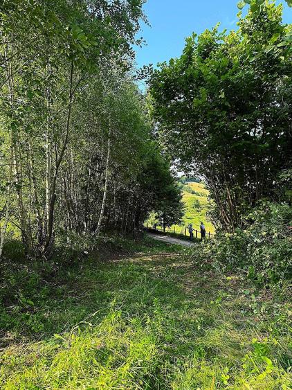 Teren de 11600 mp, în Poiana Mărului