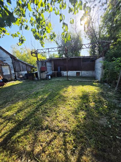 Teren Construcții intravilan de 1229 mp, în Nedelea
