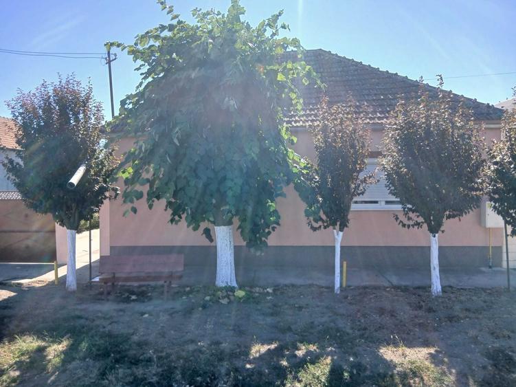 Casă cu 4 camere în Vărșand