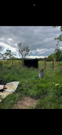 Casă cu 2 camere în Valea Mare de Codru