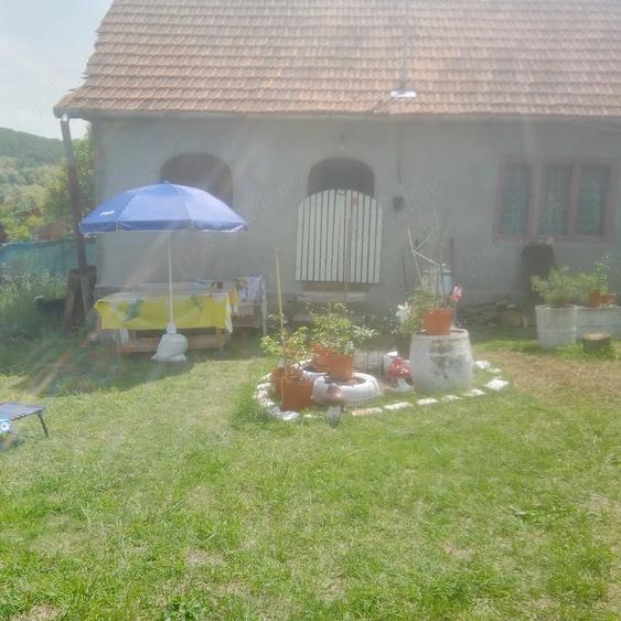 Casă cu Teren 1450 Mp în Baia de Criș