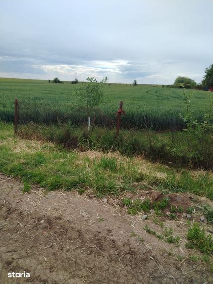 Teren de 1440 mp, în Felnac