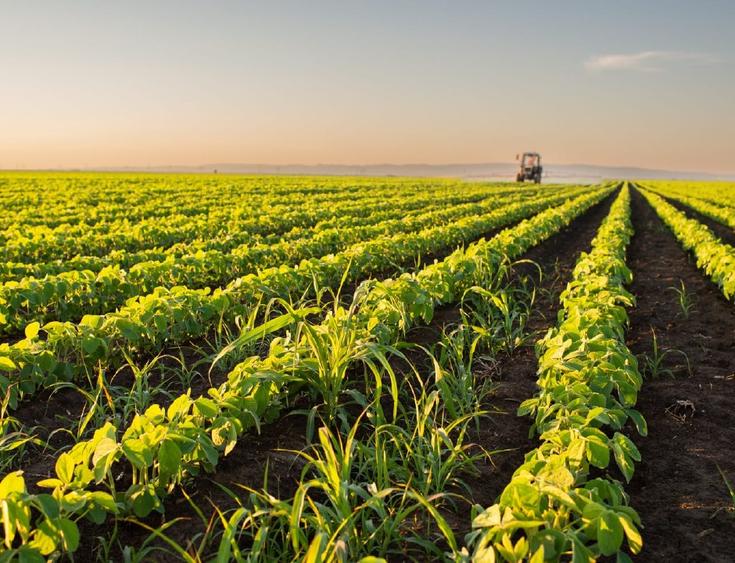 Teren agricol extravilan de 5000 mp, în Central