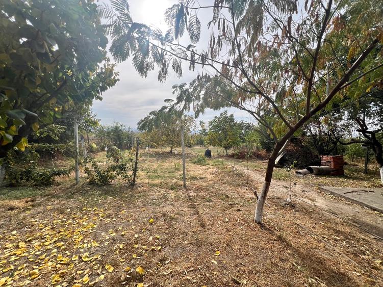Casă individuală cu 5 camere cu Teren 2000 Mp în Grojdibodu