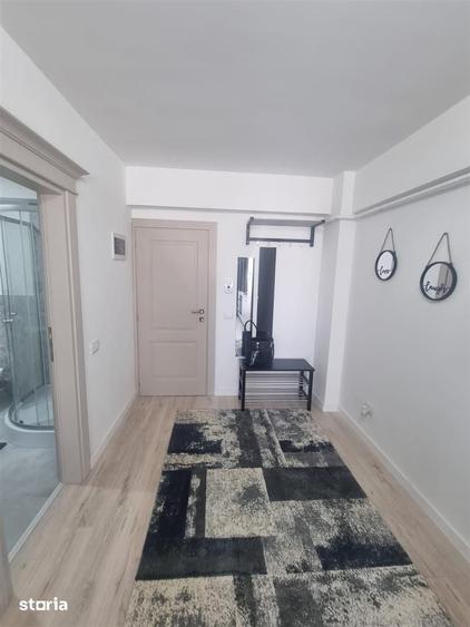 Apartament 1 camera Bucium - 9