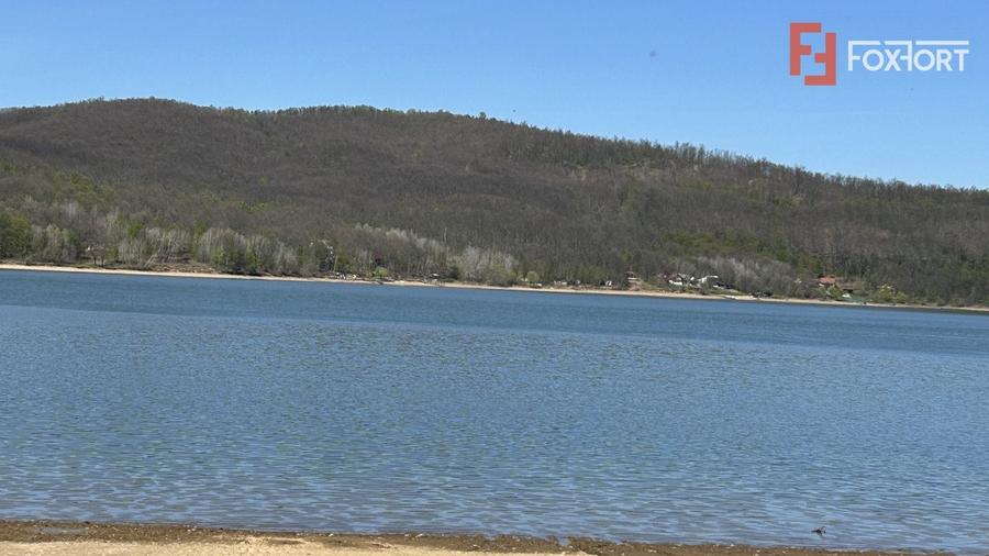 Teren extravilan de 6000 mp, în Fârdea