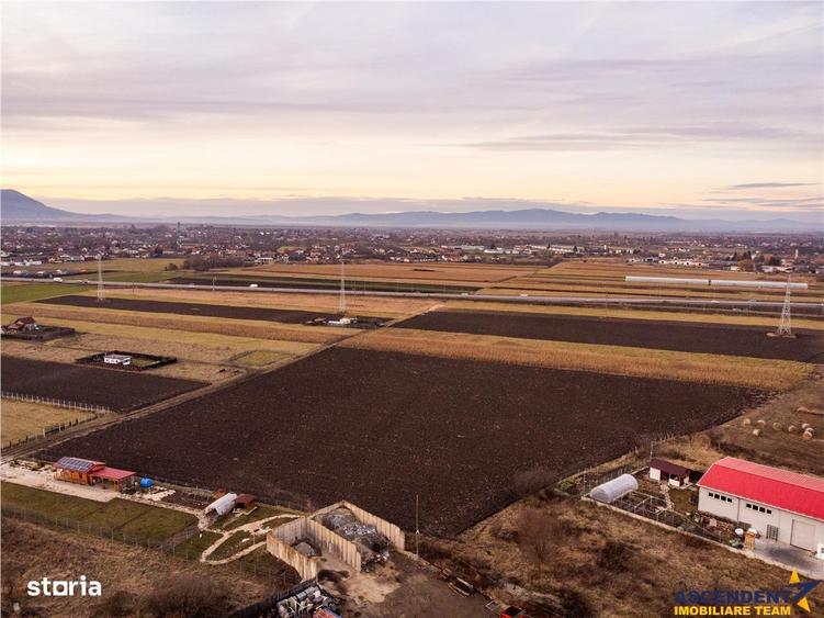 Teren de 5000 mp, în Stupini
