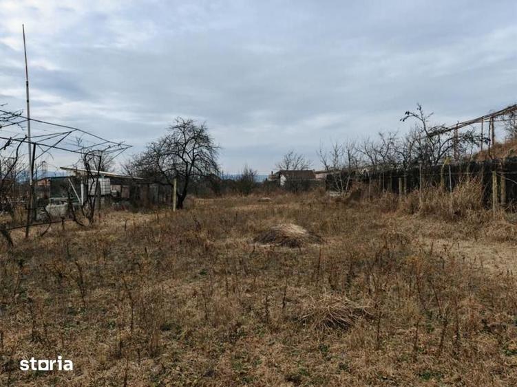Teren de 1660 mp, în Letea Veche