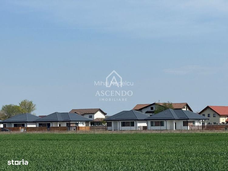 Vanzare teren 7.000 mp Buftea, zona Tamasi | langa padure