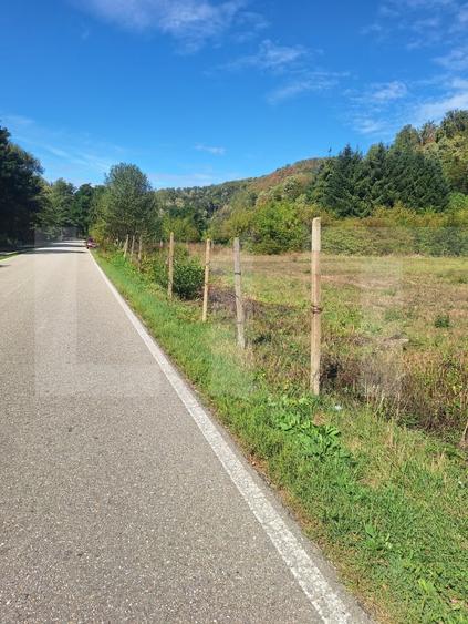 Teren Construcții extravilan de 4847 mp, în Nădrag