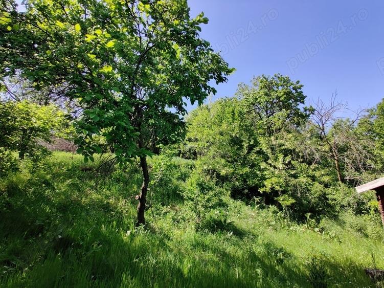 Teren de 1400 mp, în Dezmir