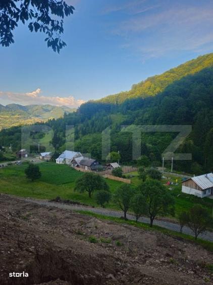 Teren de vanzare, 10.000 mp - Bistrita Bargaului, zona turistica - 7