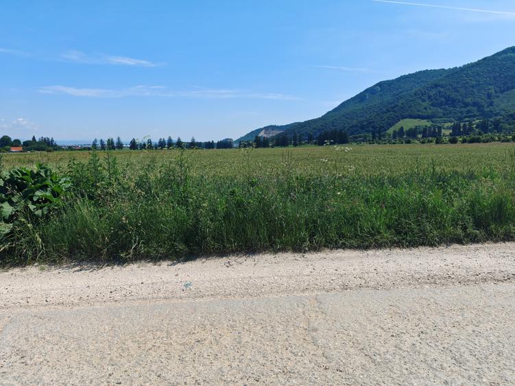 Teren Construcții intravilan de 16000 mp, în Cristian