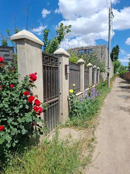 Teren de 550 mp, în Vânători